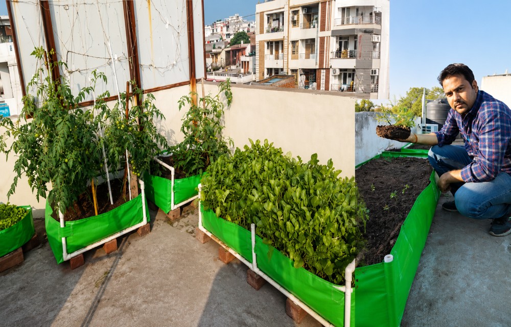 Terrace Gardening